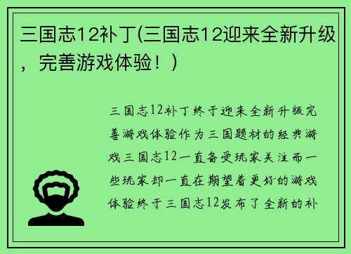 三国志12补丁(三国志12迎来全新升级，完善游戏体验！)
